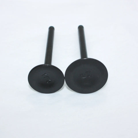 PIT PRO TRAIL DIRT BIKE 140cc Engine Head Intake Exhaust Valves