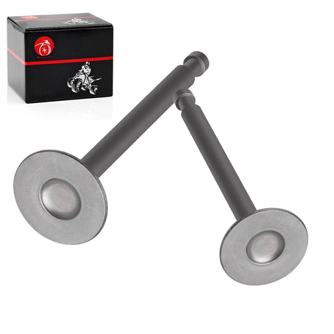Club Car 4 Cycle Gas Golf Cart 2 x Exhaust & Intake Valve (1984–1991)