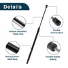 Hyundai Accent Hatchback Rear Hatch Lift Supports (2003-2005)
