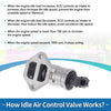 Ford Focus Idle Air Control Valve (2003-2007)