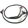 Honda FourTrax 300 TRX300FW Wire Harness (1994–1997)