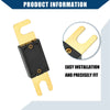 Car, Motorcycle, Boat - Gold & Black 5 x Mini ANL 500A Fuses