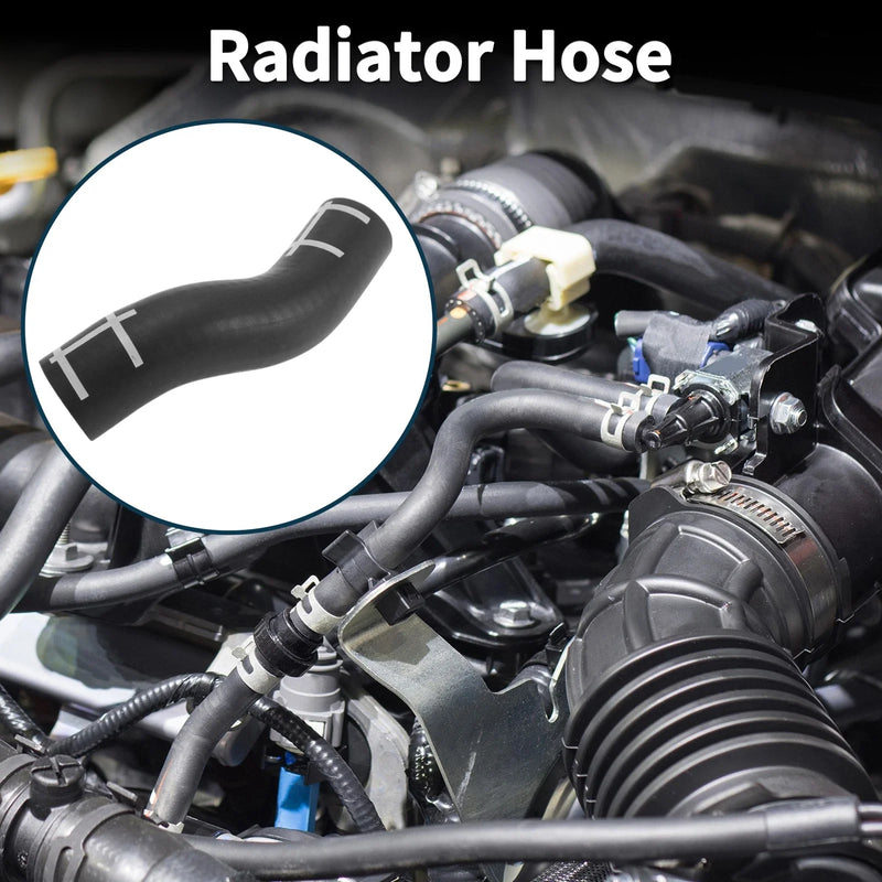 Porsche Panamera 2010-2014 Cooling System Radiator Hose
