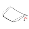 Isuzu D-Max KB RT50 RT85 2012-2020 Bonnet Hinge x2