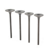 Honda Sportrax TRX400EX Intake & Exhaust Valve Kit (1999-2008)