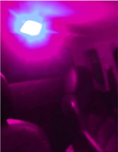 Holden Colorado Bright Purple LED Interior Dome Light (2012-2023)