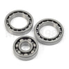 Honda TRX300FW Rear Axle Bearings and Seals Kit (1988–2000)