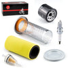 Yamaha Rhino 660 Air Filter Guide Cage Cap Oil Filter Kit (2004-2007)
