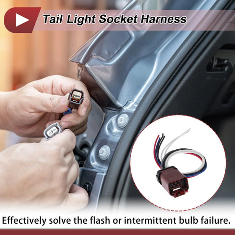Dodge Ram 2500 Tail Light Socket Wiring (2003-2006)