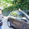 Car 10 Inch Auto Washing Brush