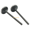 Polaris Predator 500 / Outlaw 500 Head Intake Exhaust Valves Seals (2003–2007)