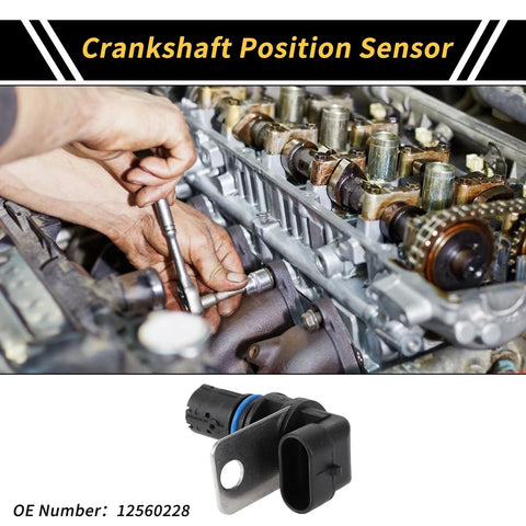 Chevrolet Silverado 2500 Crankshaft Position Sensor (1999-2004)