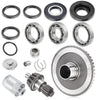 Honda TRX250 TE / TM / EX / X 1997-2023 Rear Diff Gear Bearings Kit