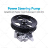Hyundai Tucson, Kia Sportage 2.7L Power Steering Pump (2005-2010)