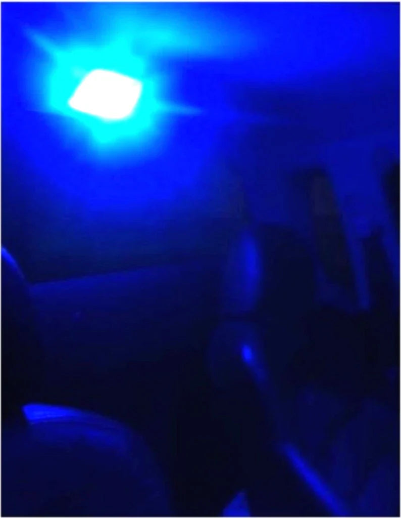 Holden Commodore VL VN VP VR VS VX VY VZ Blue LED Interior Dome Light