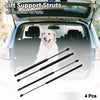 Buick Rainier Rear Window Glass & Hatch Lift Supports Struts (2004-2007)