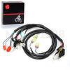 Honda FourTrax TRX300 TRX300FW Ignition Coil Plug CDI & Wire Harness (1994–1997)