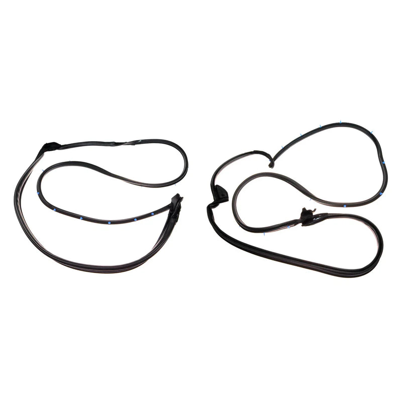 Toyota Camry Hybrid 2006-2011 Front Rear Door Weatherstrip Set