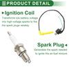 Honda Rincon 650 TRX650FA 2003-2005 Ignition Coil (1 Set)