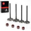Honda CRF250X / CRF250R 4x Intake Valve & Exhaust Valve Kit (2004–2007)