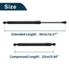 BMW 323i Rear Hatch Lift Supports (2006-2011)