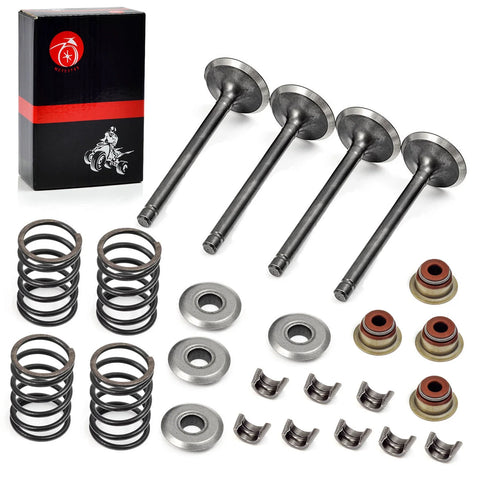 EZGO Robin 295cc Piston & Intake Exhaust Valve & Gasket Kit (1992–2002)