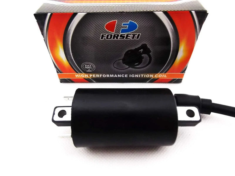 Suzuki AN250 Burgman Ignition Coil Assembly (1998-2002)