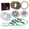 Yamaha Raptor 700 Clutch Kit Inner Hub Pressure Plate Gasket (2006–2023)