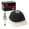 Yamaha TTR125 Air Filter Element & Spark Plug (2000–2003)