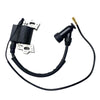 Einhell BG-PM 51 S HW GTR-E Ignition Coil Spark Plug Kit