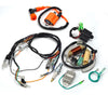 Yamaha Blaster Ignition Coil Wiring Harness Regulator Stator (1997–2001)