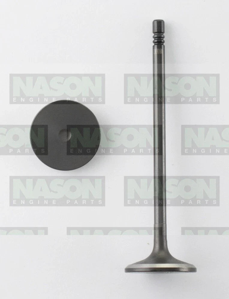 Holden Cruze JH 2.0L Z20D1 8 x inlet intake valve (2011–2015)