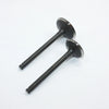 PIT PRO TRAIL DIRT BIKE 140cc Engine Head Intake Exhaust Valves