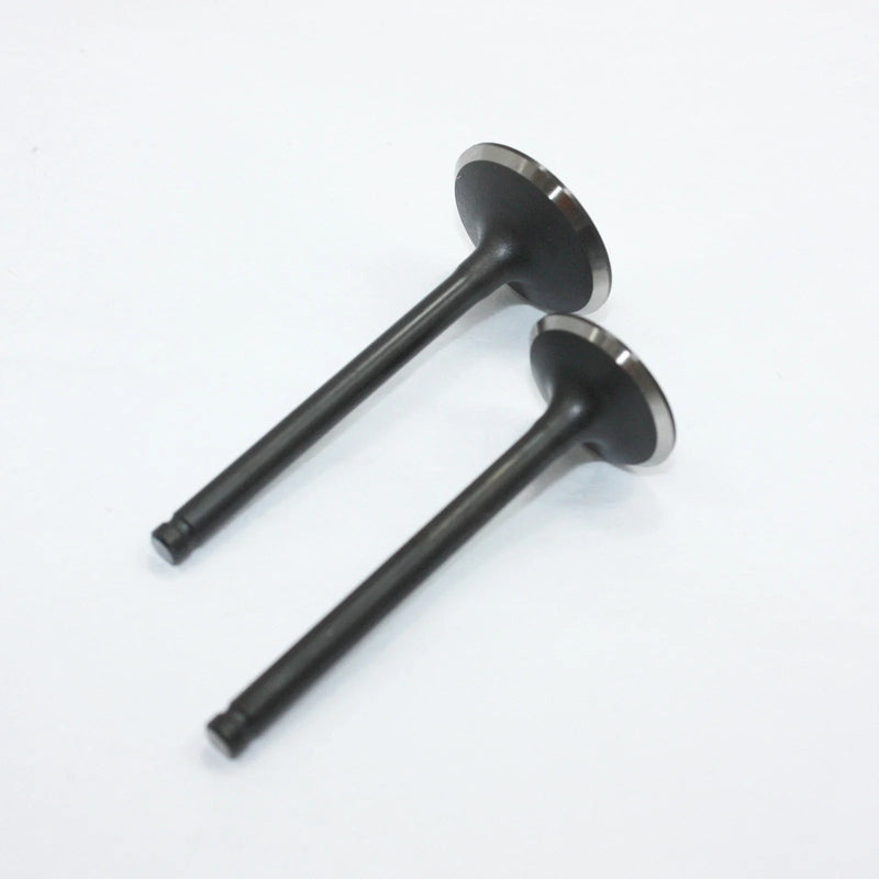 PIT PRO TRAIL DIRT BIKE 140cc Engine Head Intake Exhaust Valves