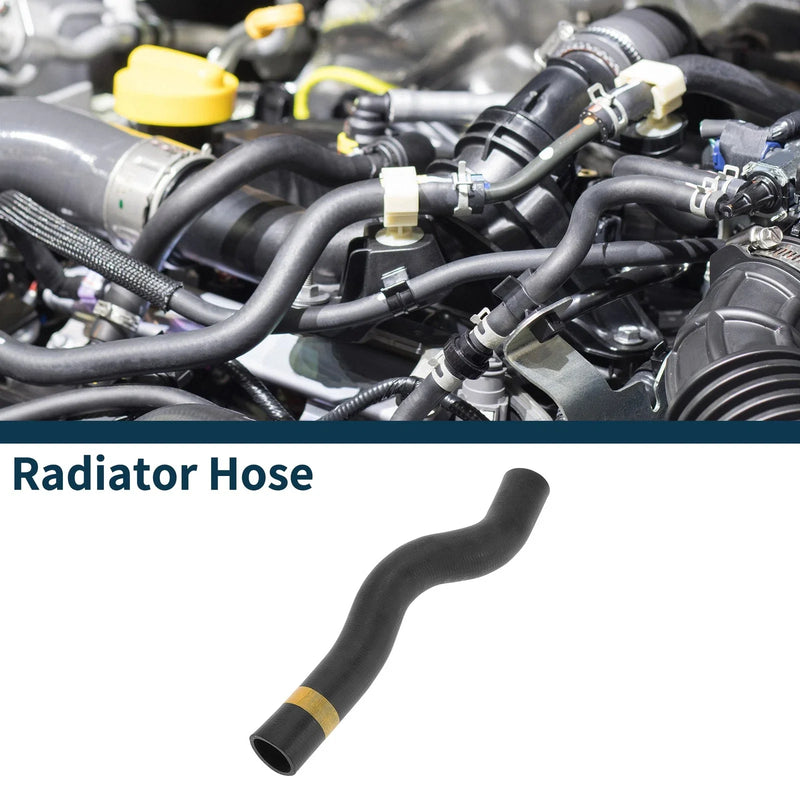 Toyota Previa 2.4L AT Radiator Hose (2004)