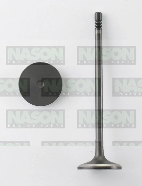Holden Cruze JH 1.4L A14NET LUJ TURBO 8 x INLET INTAKE VALVE (2011–2015)