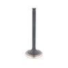 Suzuki QuadRunner LT-230GE Bronco Engine Exhaust Valve (1985–1986)