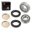 Honda TRX250 Recon 250 Swing Arm Bearings & Seals Kit (1997-2022)