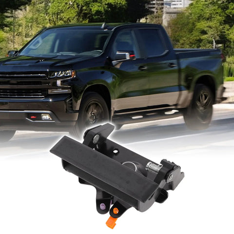 Chevrolet C1500 / C2500 / C3500 Tailgate Handle Bezel