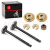 Yamaha Gas Golf Cart G2–G14 Intake Exhaust Valve Kit (1989–1996)