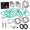 Kawasaki Engine Rebuild Kit with Seals, Pistons & Rings