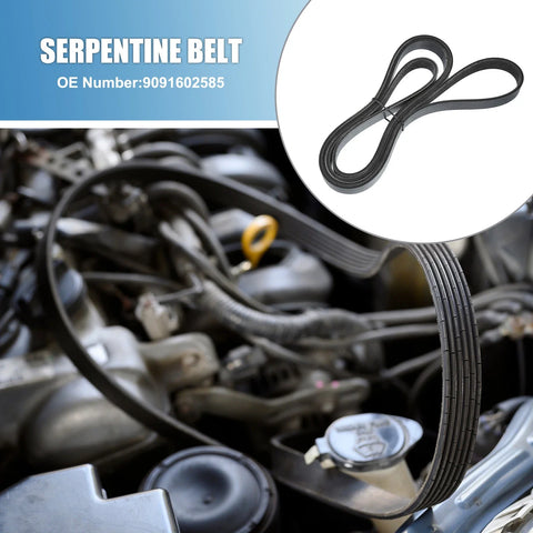 Chevrolet Corvette V-Ribbed Serpentine Belt (1984)