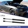 BMW X3 F25 SUV Tailgate Lift Support Struts Gas Spring