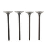 Honda Sportrax TRX400EX Intake & Exhaust Valve Kit (1999-2008)