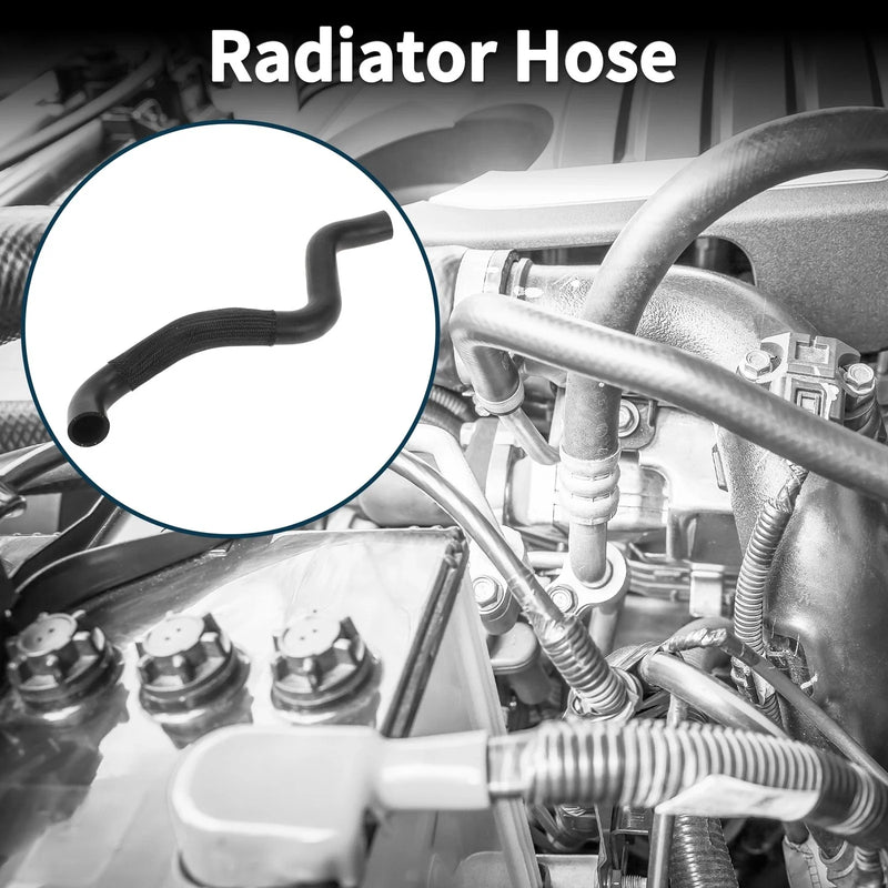 Volvo S40 (2004-2012) Rubber Black Lower Radiator Hose