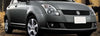 Suzuki Swift Lower Radiator Grille (2007-2009)
