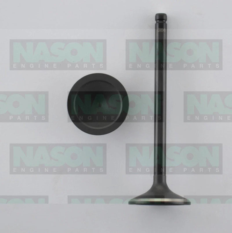 Holden Commodore VZ VE VF 8 x Exhaust Valve (2002–2017)