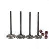Honda CRF250R / X 2004-2017 Intake & Exhaust Valve Kit