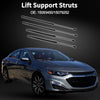 Buick Rainier Tailgate & Rear Window Lift Supports Struts (2004–2007)