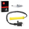 Honda XR250L Ignition Coil & Spark Plug w/Cap (1991-1996)